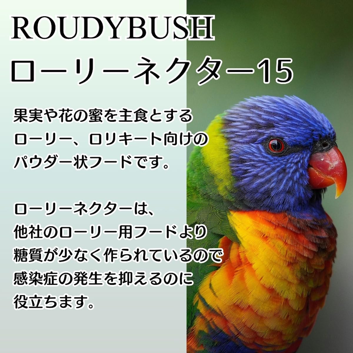 Amazon | ラウディブッシュ ローリーネクター（パウダー） 907g